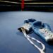2 Boxers confirmed dead after separate fights on same night