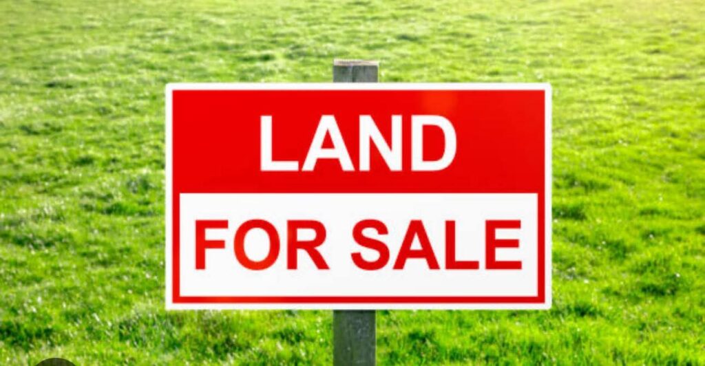 WE DON’T WAIT TO BUY LAND. WE BUY LAND AND WAIT