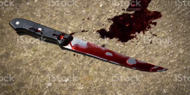 Western Region: 20-year-old stabs younger brother to death over padlock