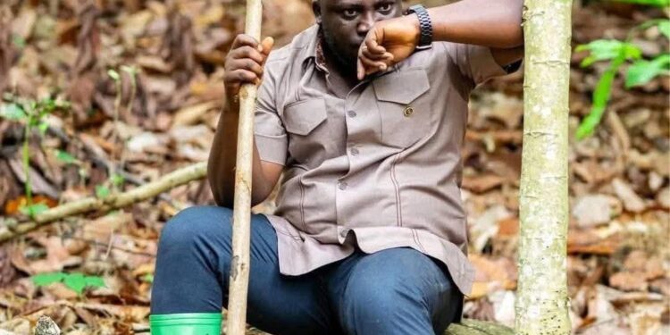 To my fellow Ghanaians