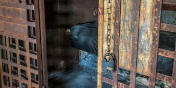 Nebraska Man Sentenced to 1-Year Prison for $3.5M Cryptojacking Scheme