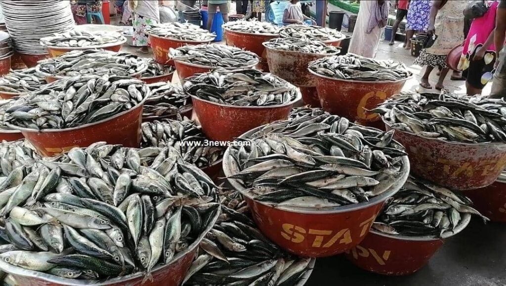 WR: Ghana’s fish stock is depleting – 2023 Metro Best Fisherman laments