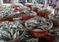 WR: Ghana’s fish stock is depleting – 2023 Metro Best Fisherman laments