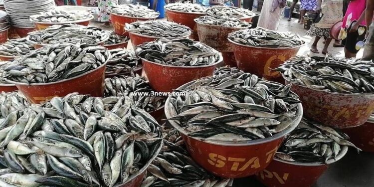 WR: Ghana’s fish stock is depleting – 2023 Metro Best Fisherman laments