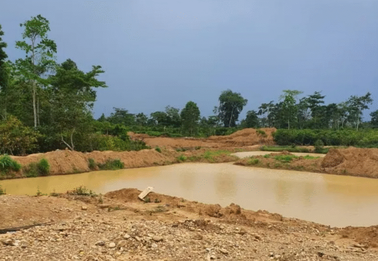 We legally called for this destruction – Kwaku Afari on galamsey