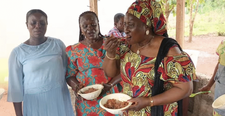 School Feeding Programme to cover over 1,000 pupils in rural public basic schools – National Coordinator