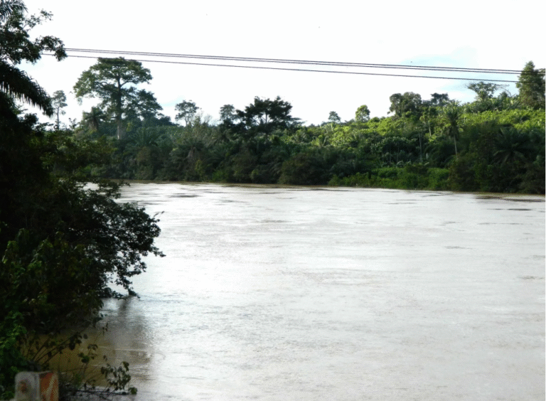 I’ll go for the head of the Transport Minister — Dr. Akwada on Volta lake disaster