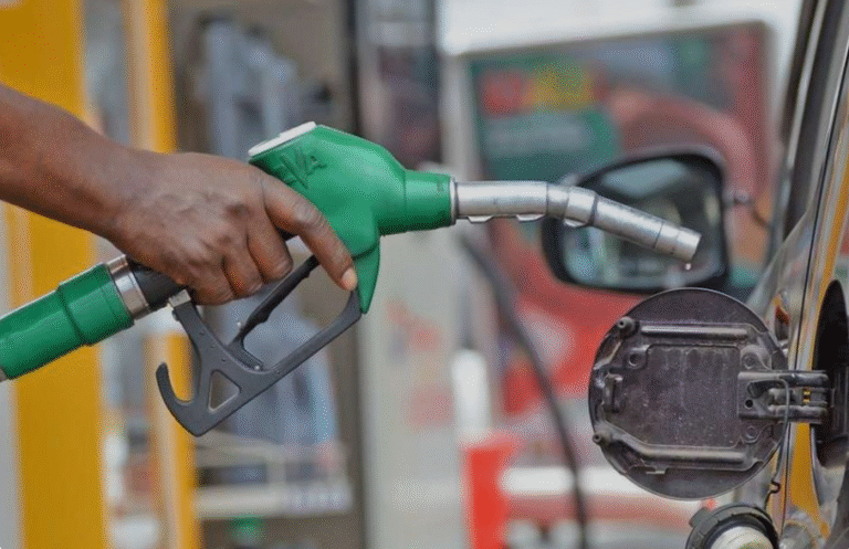 Politicians behind surge in fuel stations – Depuy Lands Minister