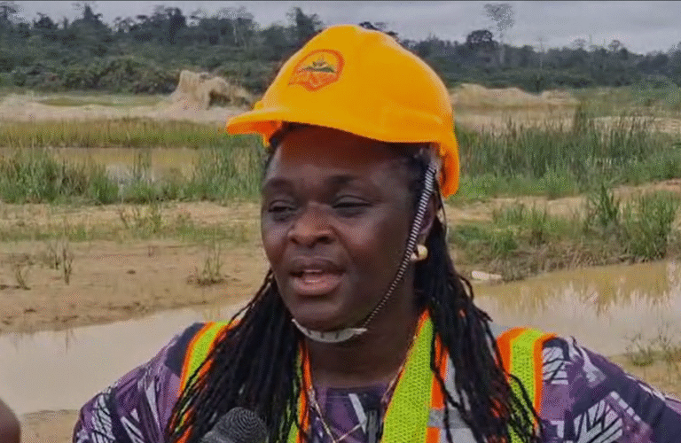 Galamsey: EPA urges private sector partnership in land restoration efforts