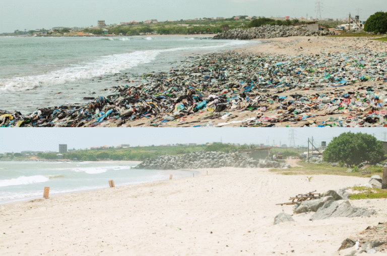 Cenpower celebrates 10 years with third edition of KIPP clean-up at Sega beach