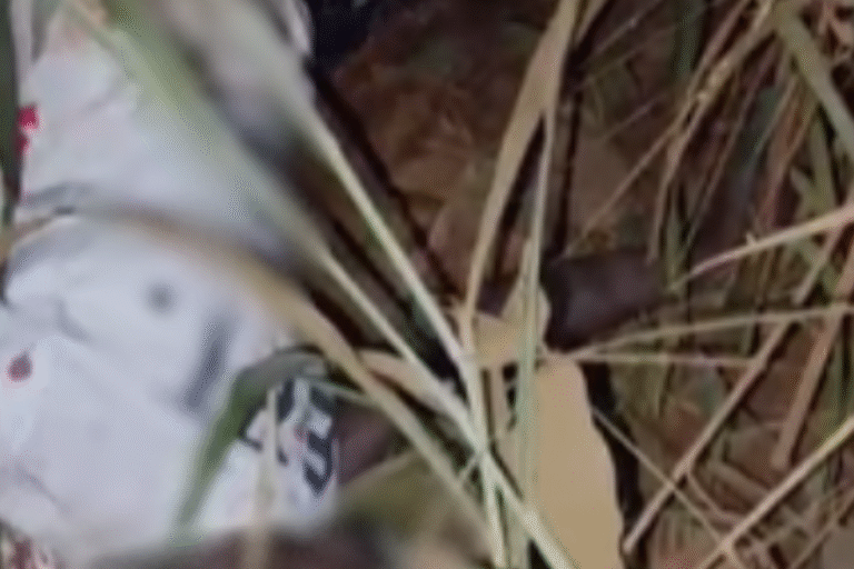 A/R: Two killed in gang clash at Mpaasaaso; One in critical condition