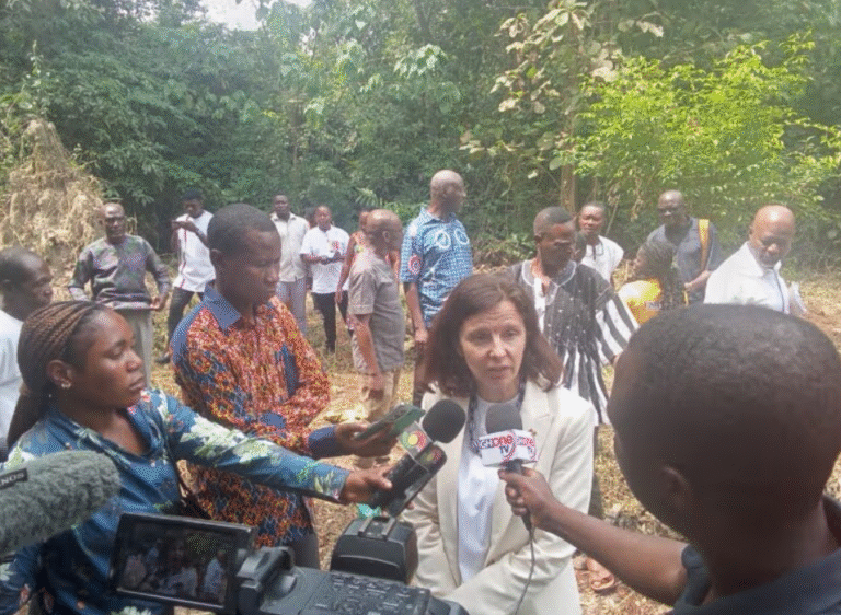 EU launches €2.4 million forest restoration initiative in Ghana