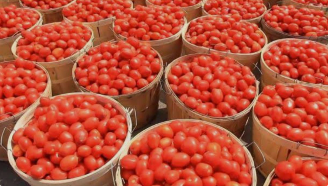 Tomato traders warn of price surge as Burkina Faso attacks disrupt supply